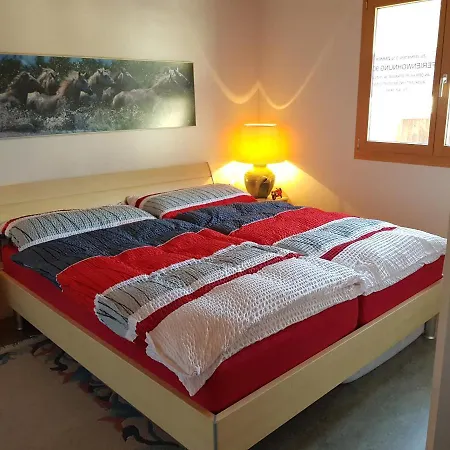 דירה Neuwertige 3 ½ Zimmer-wohnung In Zillis/andeer *